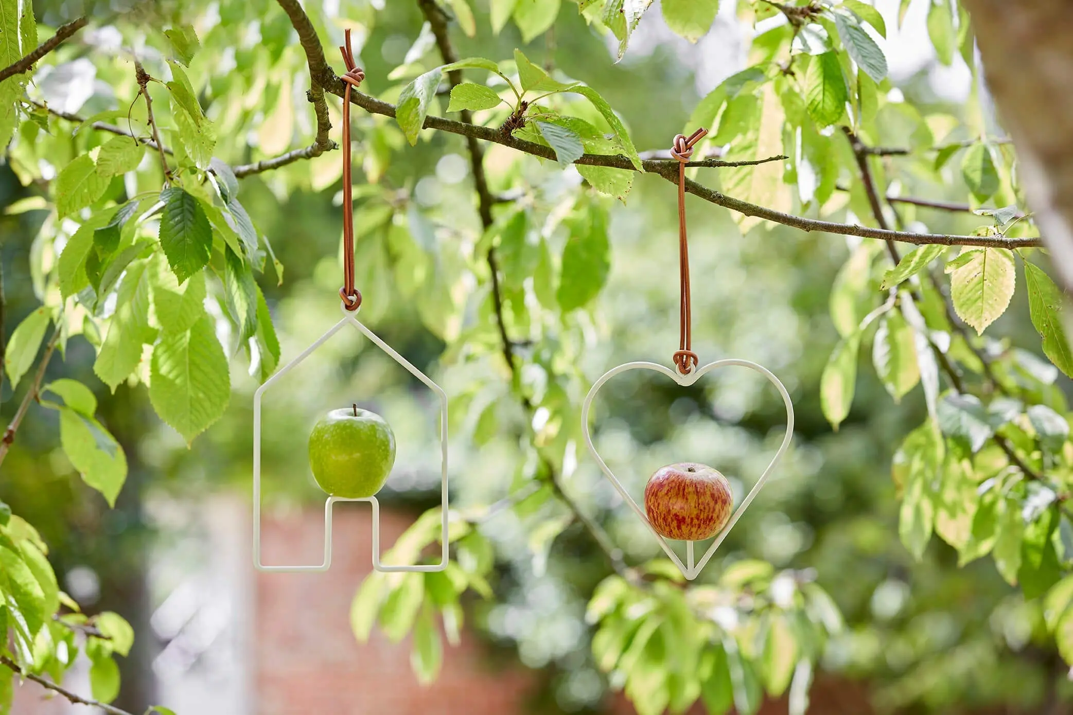 Fruit Feeding Chook Toy - Image 2