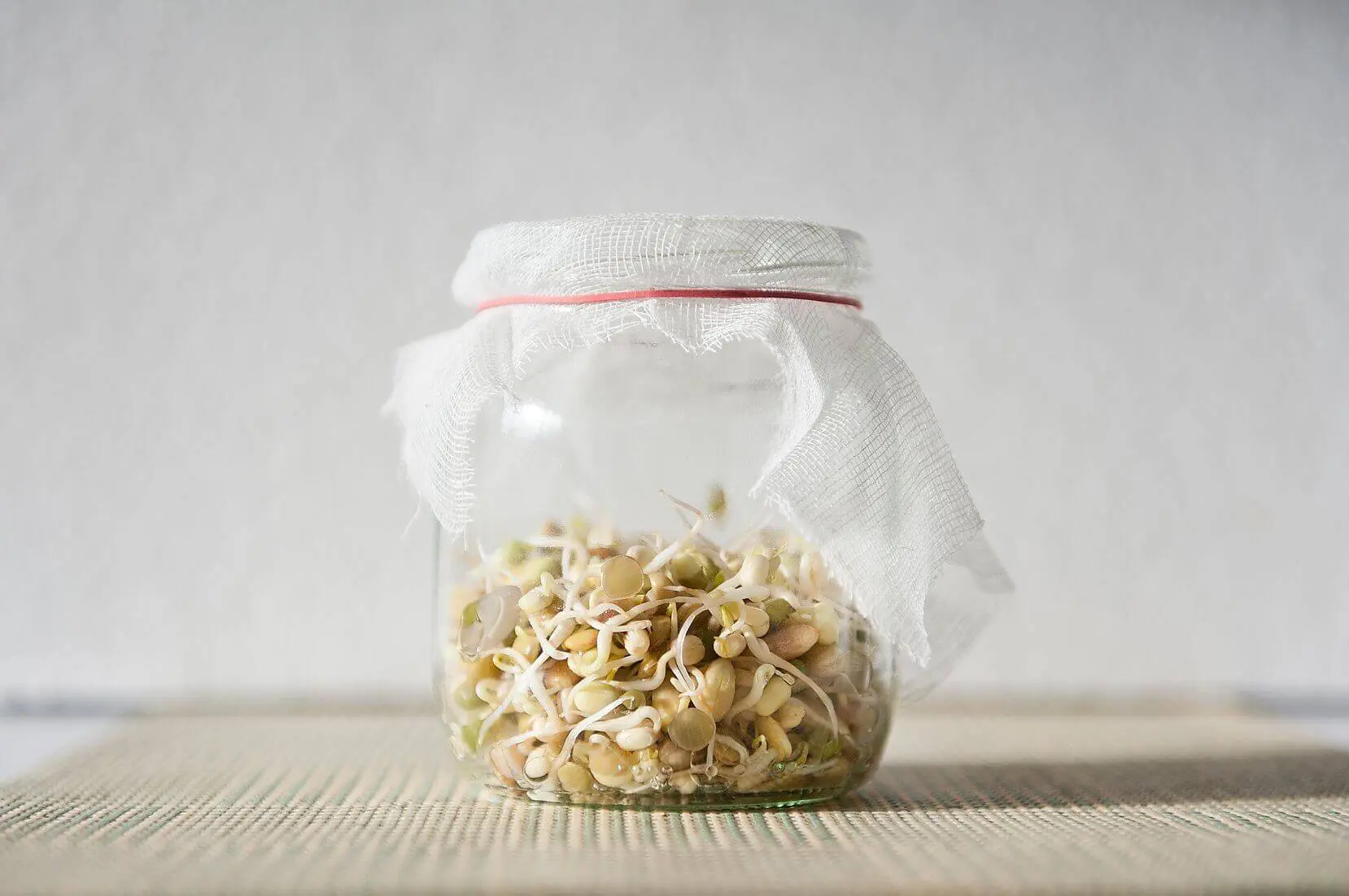Sprouting Jar