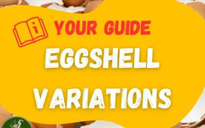 Eggshell Variations