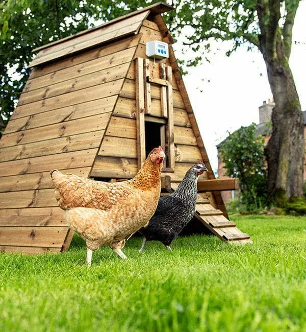 Automatic Chicken Coop Door Opener