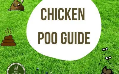 Chicken Poo Guide