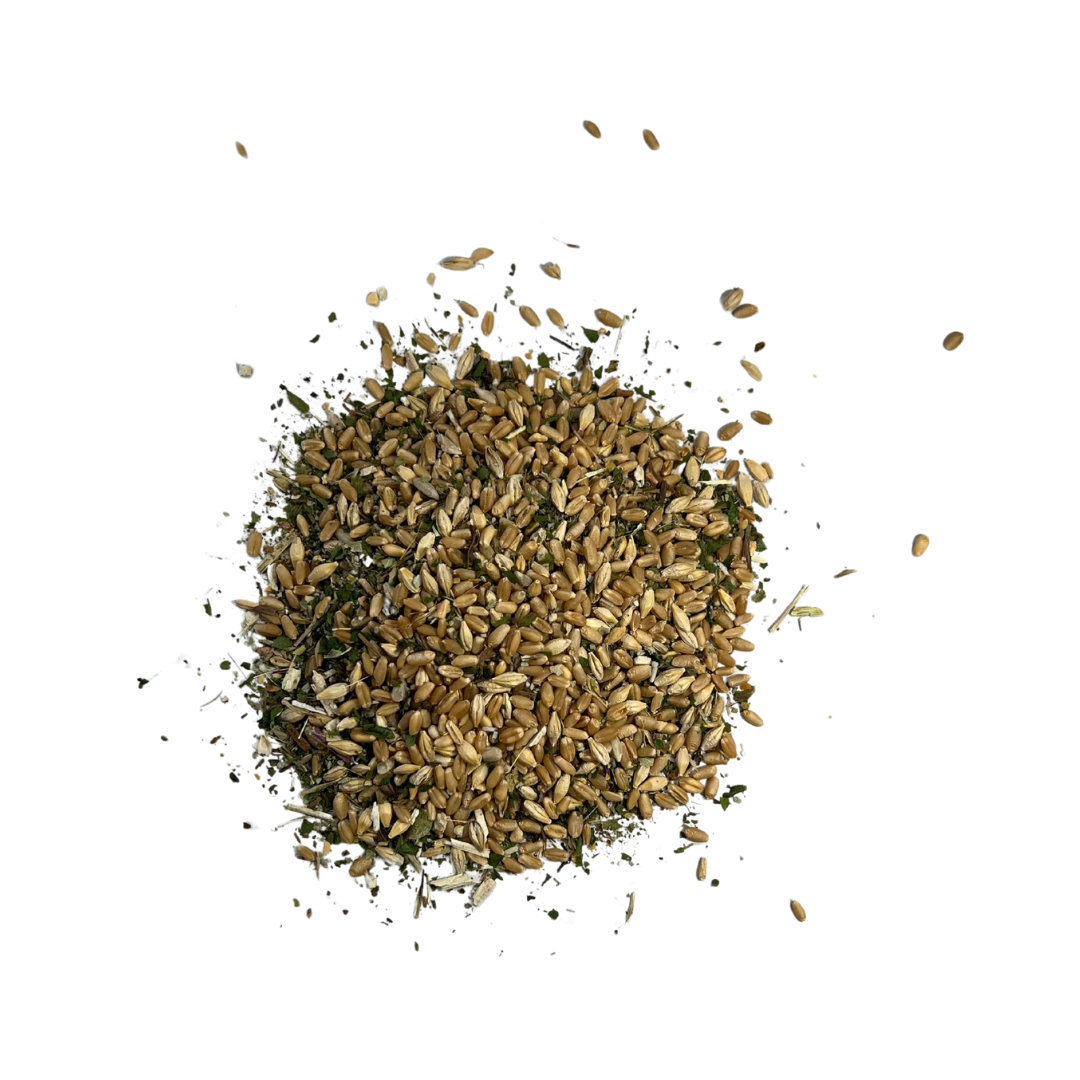 Digest & Detox - Gut Health Blend - Image 6