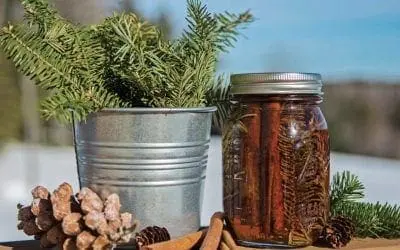 Homemade Coop Cleaning Recipes