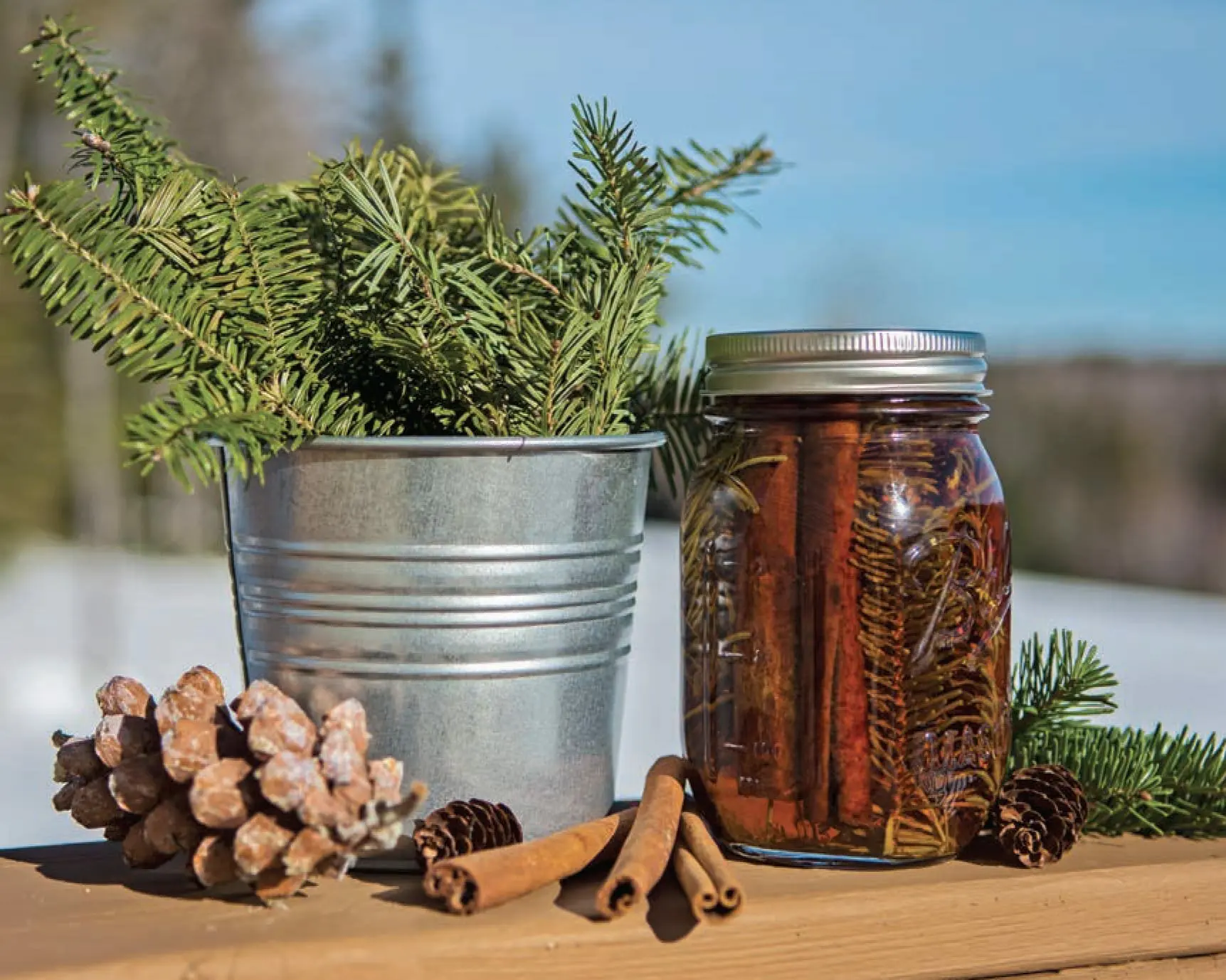 Homemade coop cleaning recipe