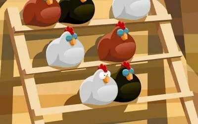 What roost is best for my chickens?