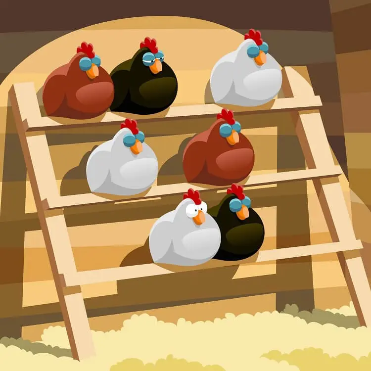 Chicken Roost