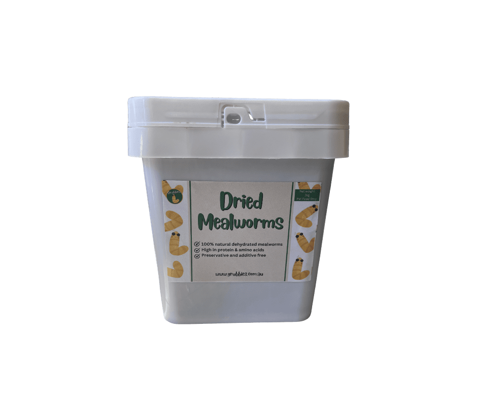 Dried Mealworms (Grubbies) - Image 5