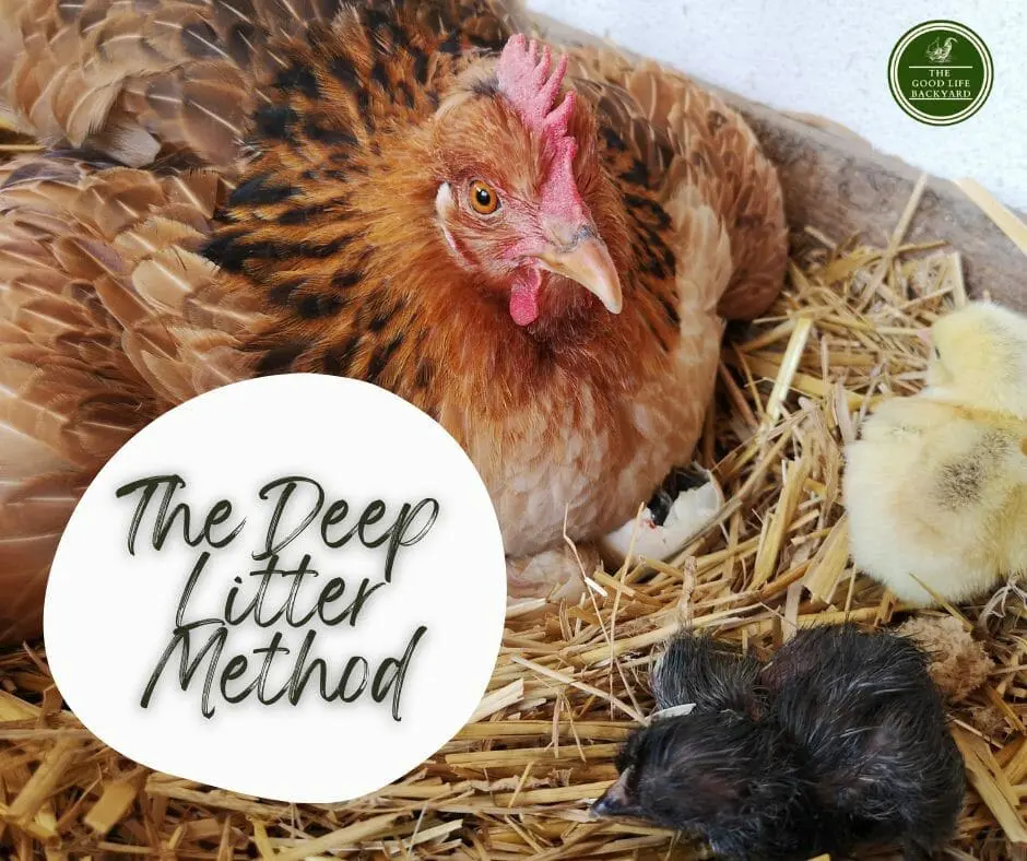 The Deep Litter Method