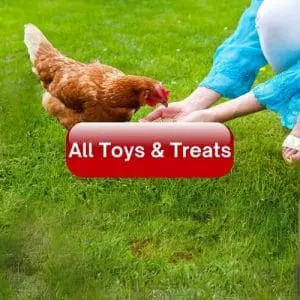 All Toys & Treats