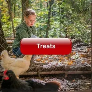 Treats