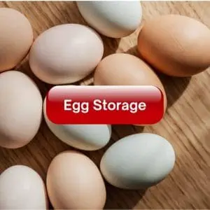 Egg Storage