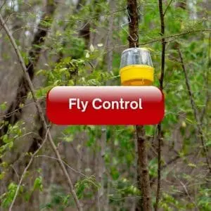 Fly Control