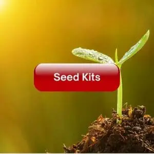 Seed Kits