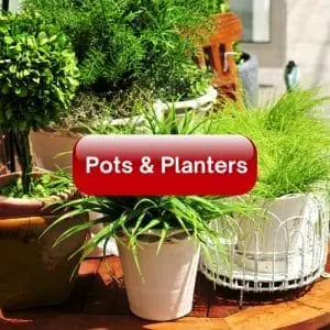 Pots & Planters