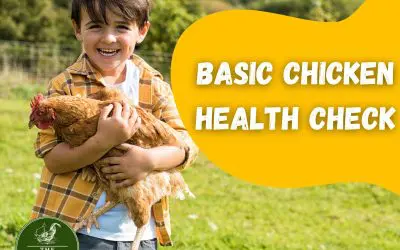 Basic Chicken Health Check