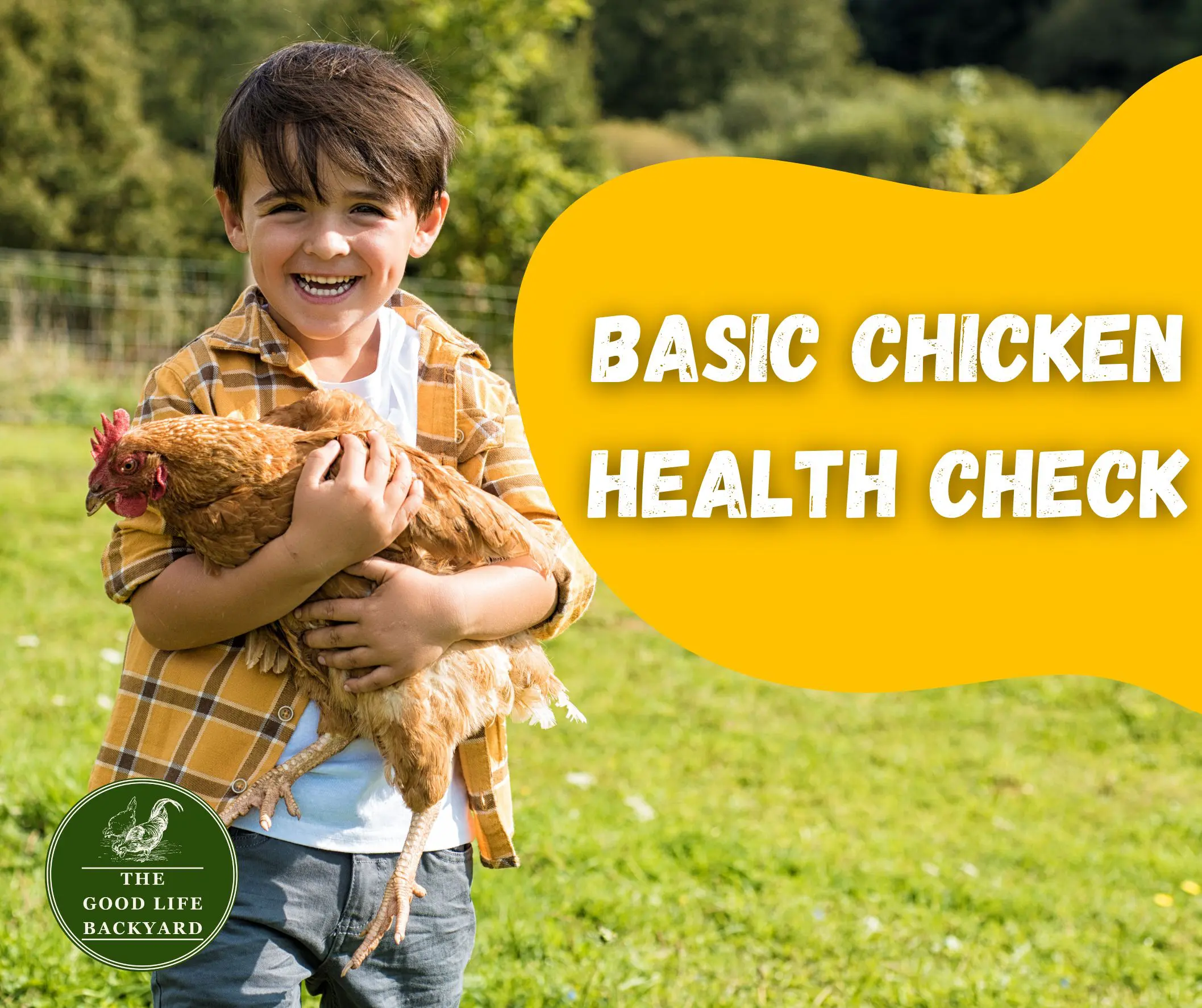 Basic Chicken Health Check