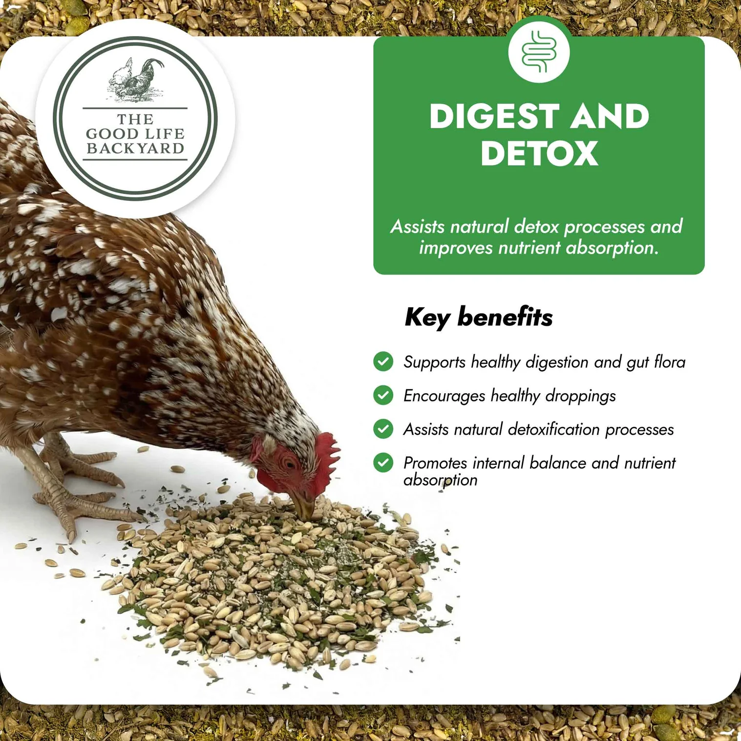 Digest & Detox - Gut Health Blend - Image 3