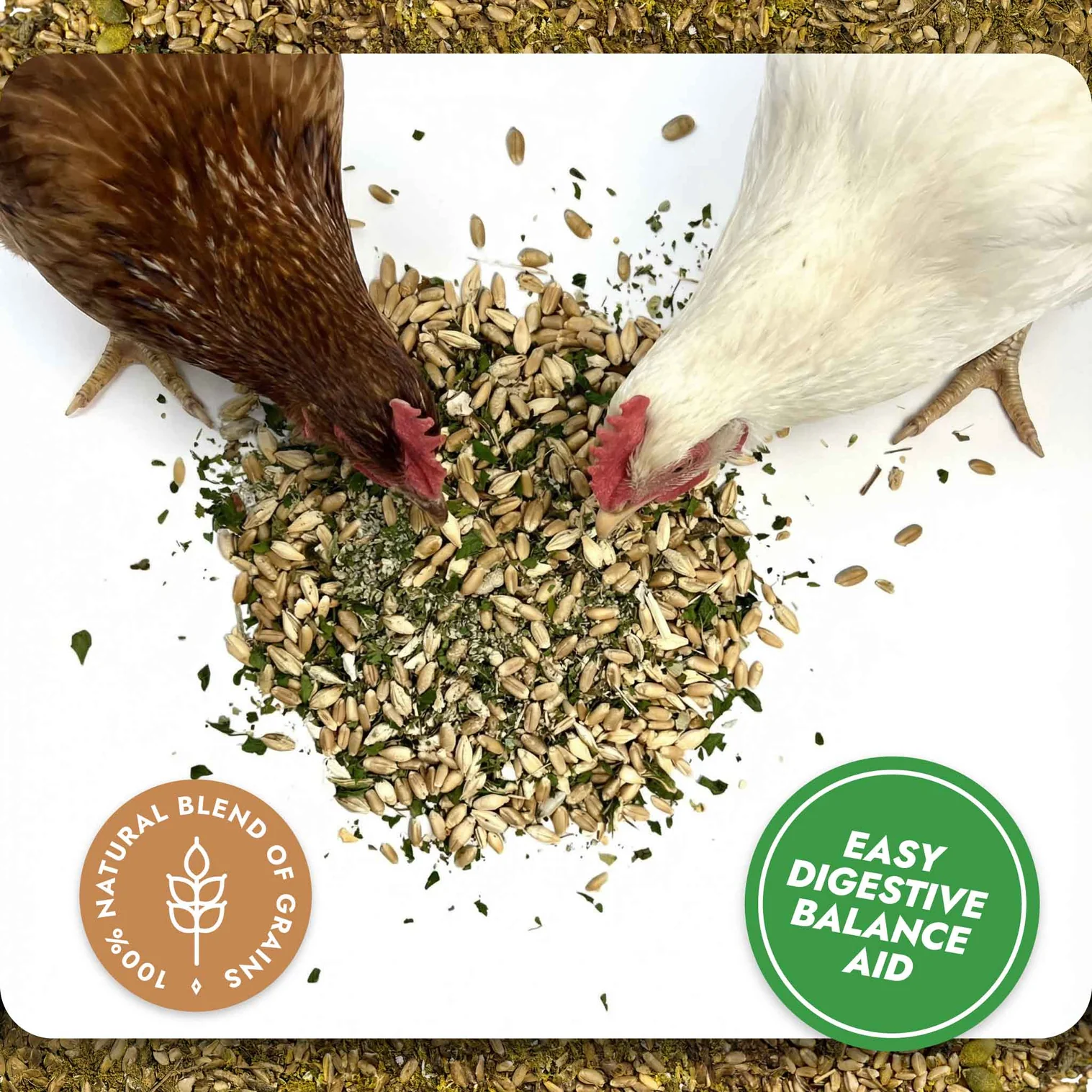 Digest & Detox - Gut Health Blend - Image 2