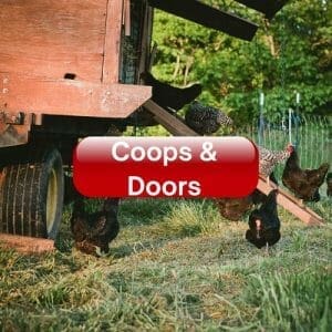 Coops & Doors