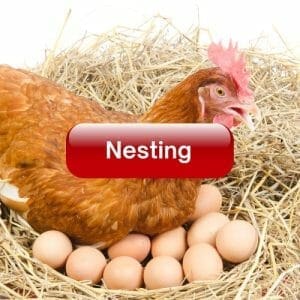 Nesting