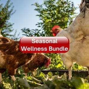 Seasonal Wellness