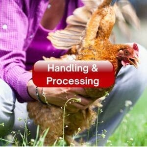 Handling & Processing