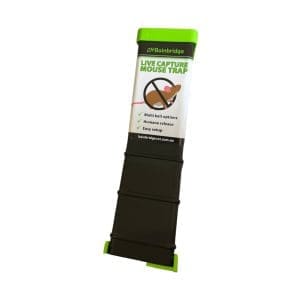 Live Capture Mouse Trap