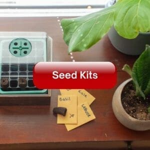 Seed Kits