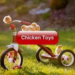 Toys & Treats