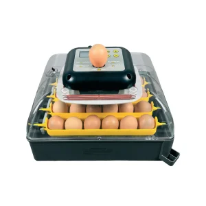 Pro24 Automatic Egg Incubator by Hatching Time